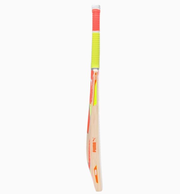 Puma Future 5.0 English Willow Cricket Bat